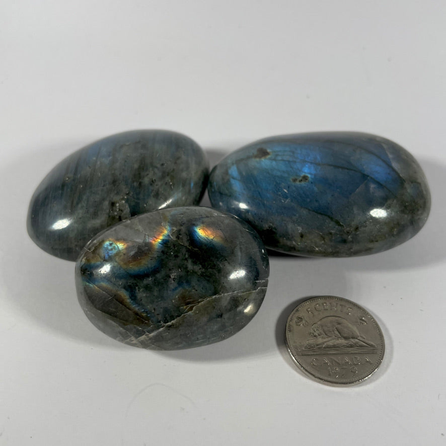 Palmstones (Multiple Options)