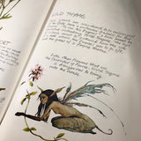 Fairies - Brian Froud and Alan Lee (FIRST EDITION)