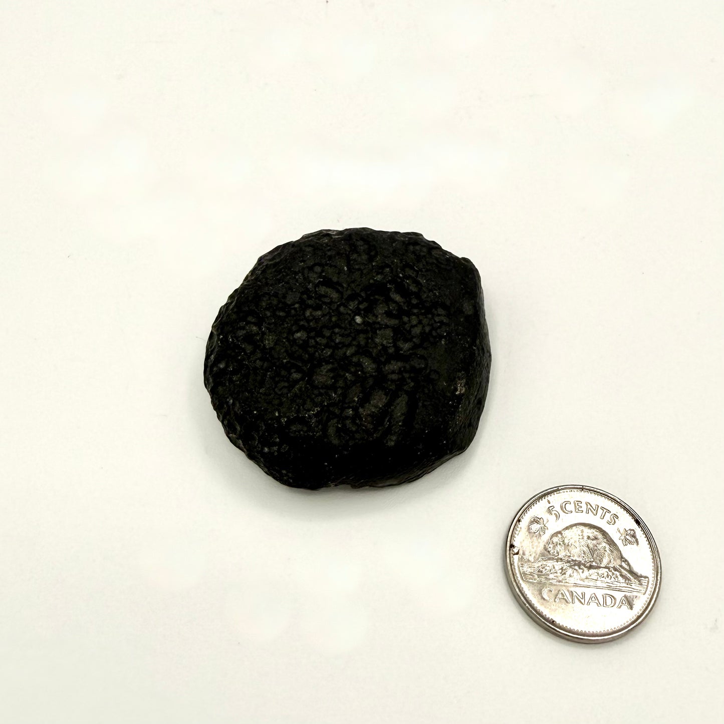 Tektite (Multiple Options)