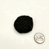 Tektite (Multiple Options)