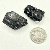 Black Tourmaline (Multiple Options)