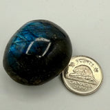 Palmstones (Multiple Options)