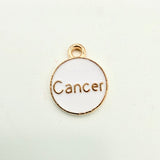 White Zodiac Charms with Symbols (Multiple Options)