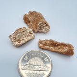 Fulgurite (Multiple Options)