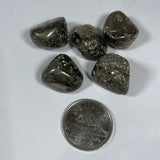 Iron Pyrite (Multiple Options)