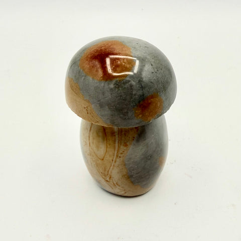 Polychrome Jasper Mushroom