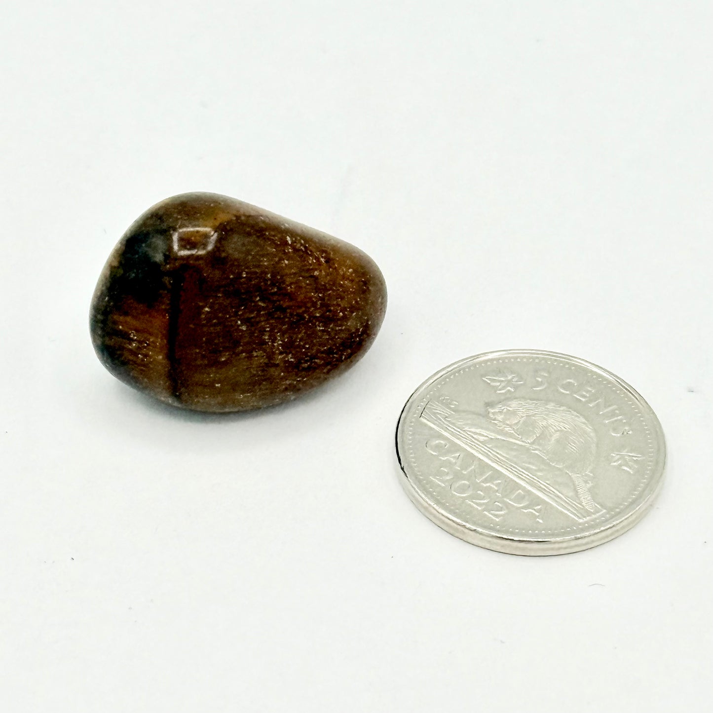 Golden Tiger's Eye