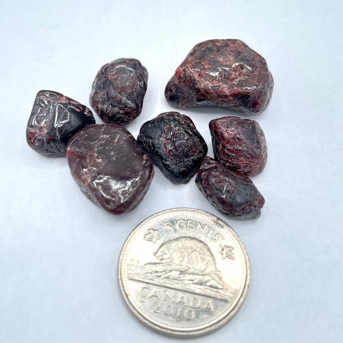 Garnet (Multiple Options)