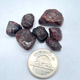 Garnet (Multiple Options)