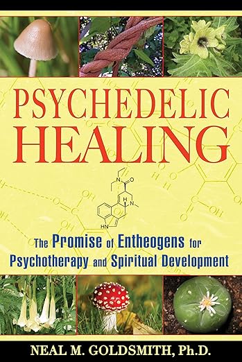 Psychedelic Healing: The Promise of Entheogens for Psychotherapy and Spiritual Development  - Neal M Goldsmith, Ph. D