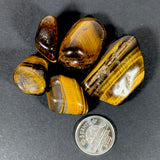 Golden Tiger's Eye (Multiple Options)