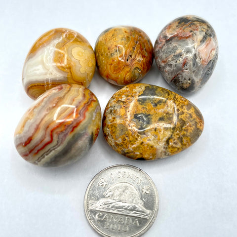 Crazy Lace Agate