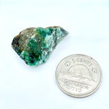Chrysocolla (Multiple Options)