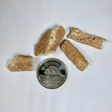 Fulgurite (Multiple Options)