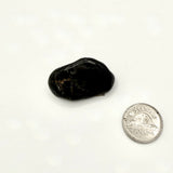 Tektite (Multiple Options)