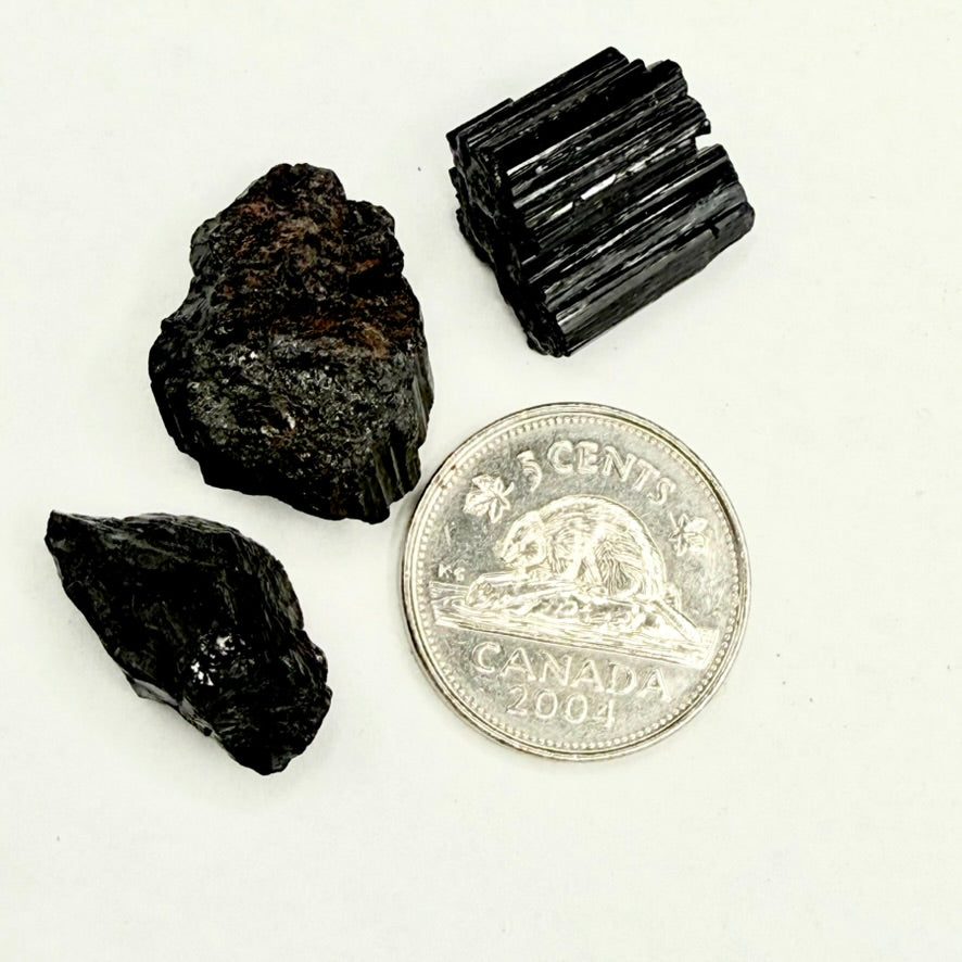 Black Tourmaline (Multiple Options)
