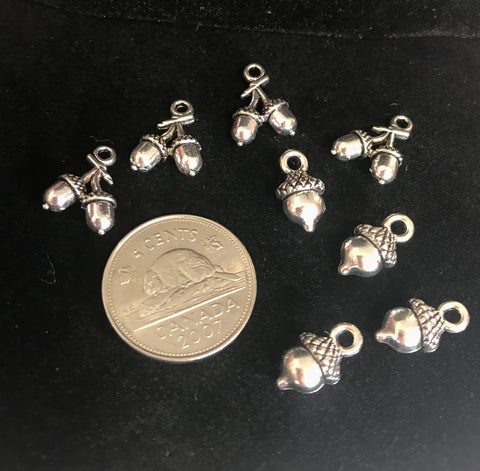 Various Acorn Charms