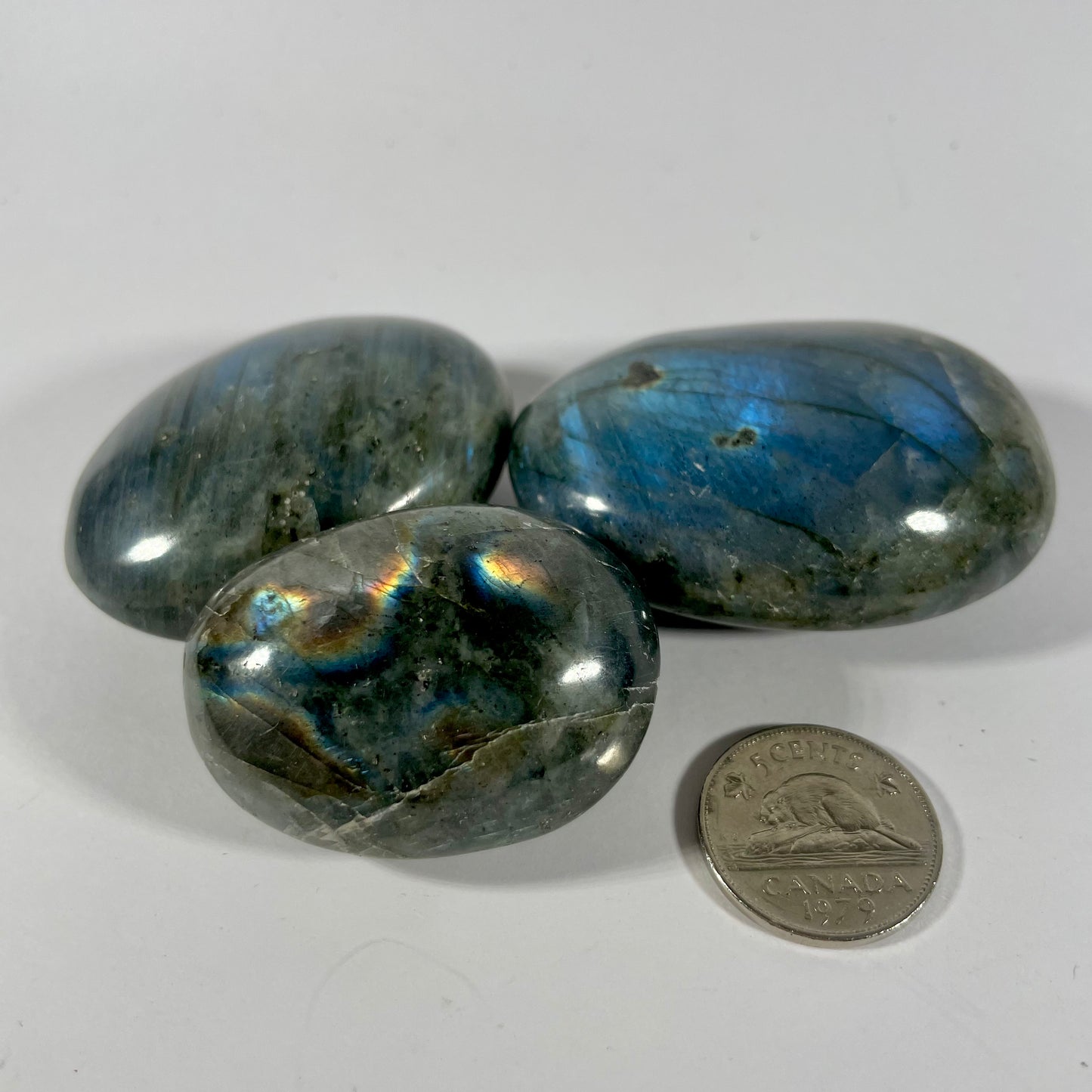 Palmstones (Multiple Options)