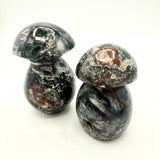 Ocean Jasper Mushrooms (Multiple Options)