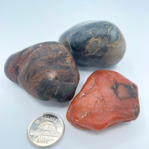 Gizzard Stones / Gastrolites (Multiple Options)