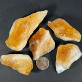 Citrine (Multiple Options)