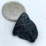 Black Tourmaline (Multiple Options)