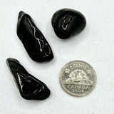 Black Tourmaline (Multiple Options)