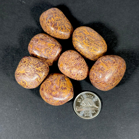 Script Jasper