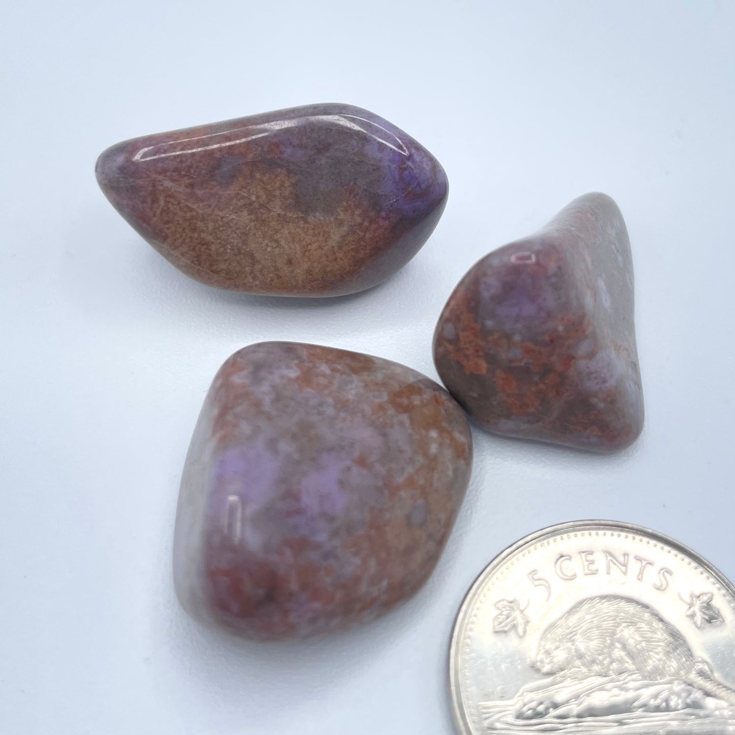 Purple Jade (Multiple Options)