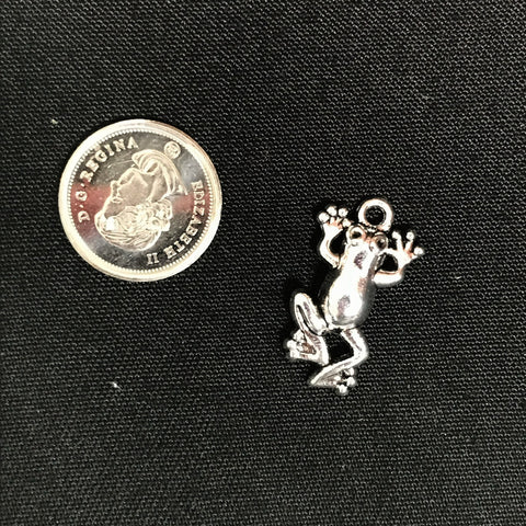Silver Frog Charm
