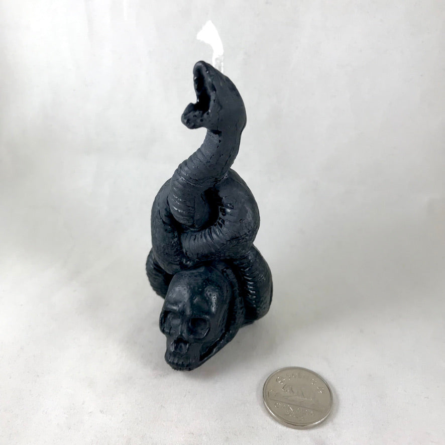 Snake Candle for Transformation and Personal Change by Madame Phoenix