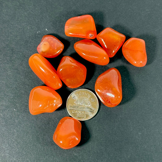 African Carnelian