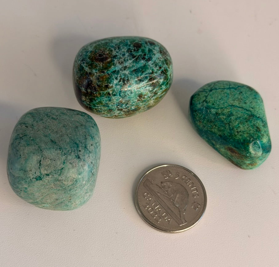 Chrysocolla (Multiple Options)