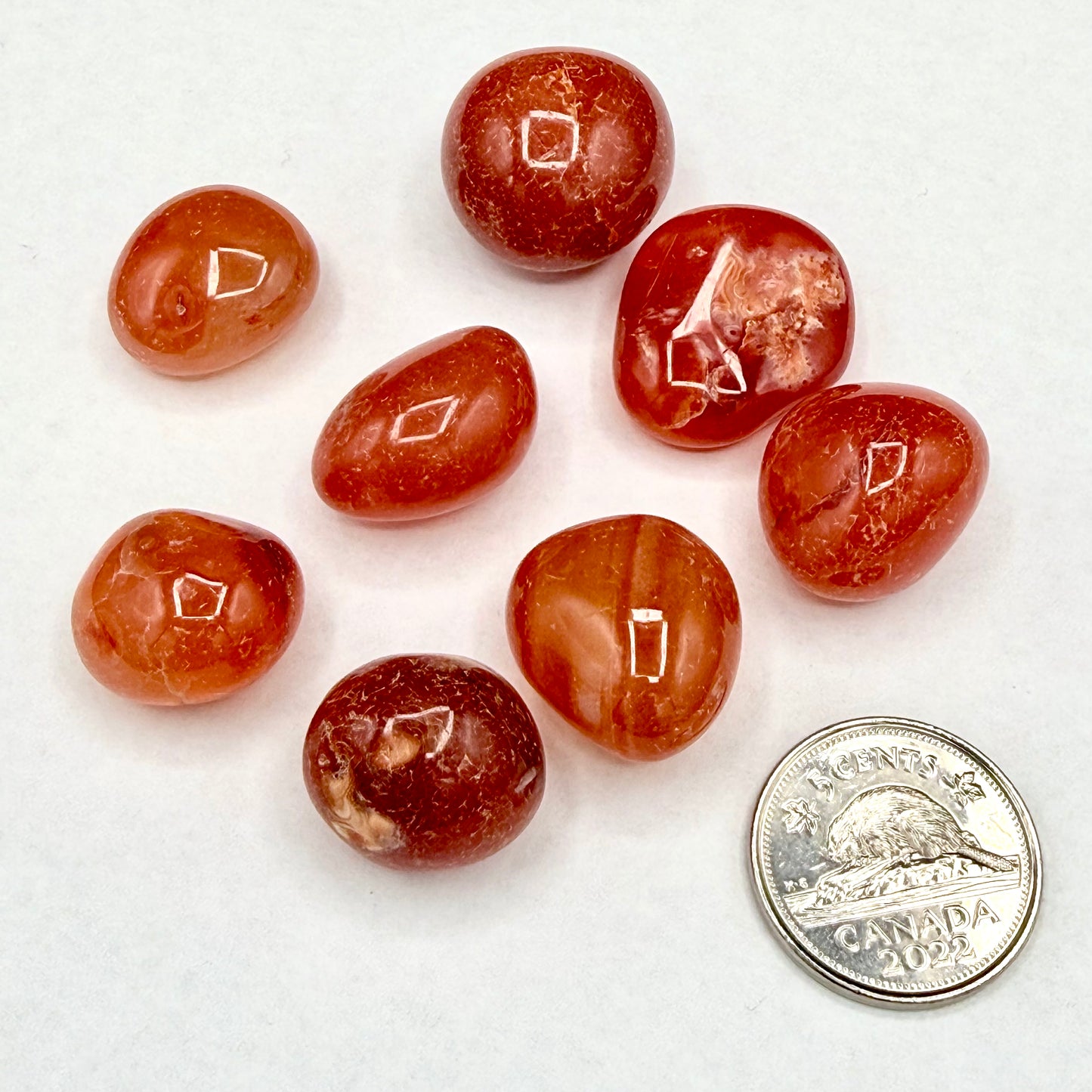 Carnelian (Multiple Options)