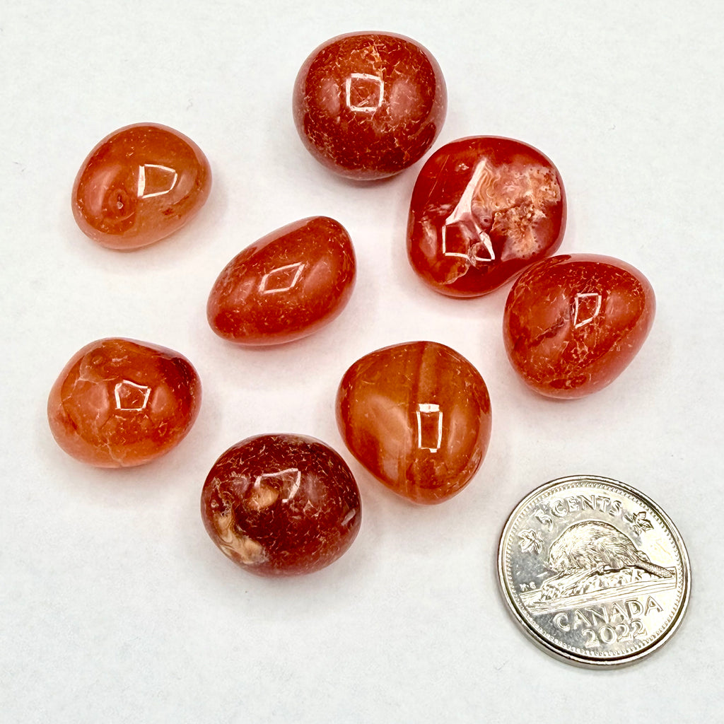 Carnelian (Multiple Options)