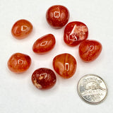 Carnelian (Multiple Options)