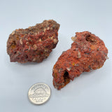 Fulgurite (Multiple Options)