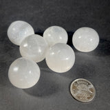 Selenite (Multiple Options)