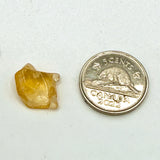 Citrine (Multiple Options)