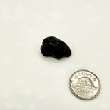 Tektite (Multiple Options)