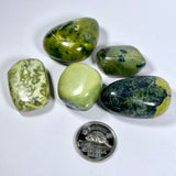 Serpentine (Multiple Options)