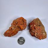 Fulgurite (Multiple Options)