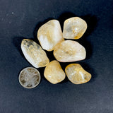 Citrine (Multiple Options)