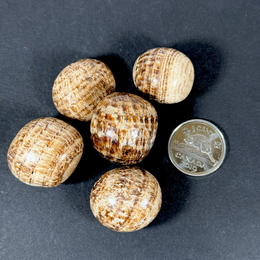Aragonite