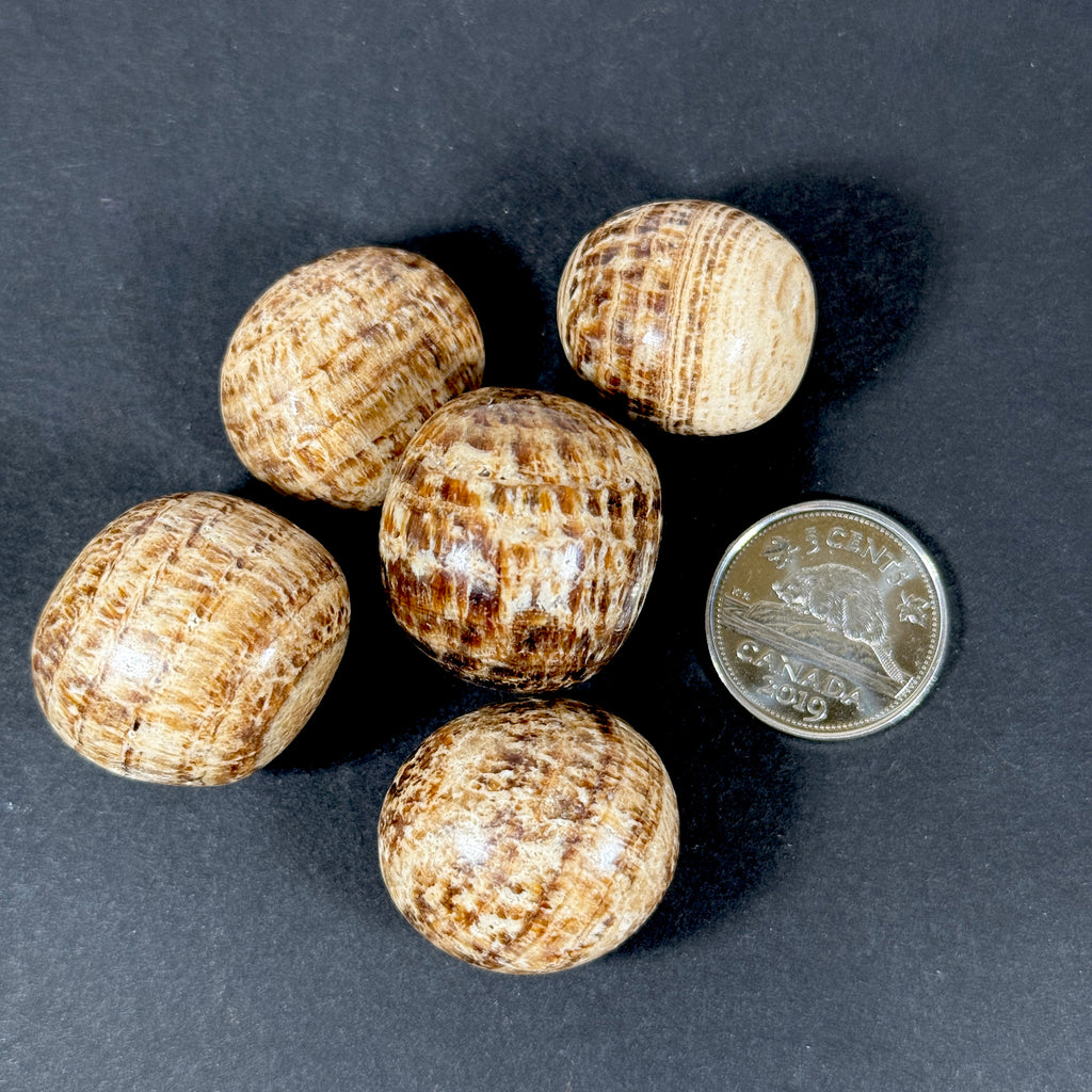 Aragonite