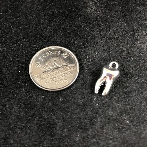 Silver Tooth Charm