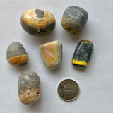 Bumble Bee Jasper (Multiple Options)
