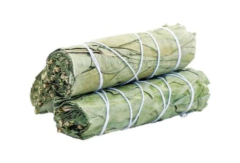 Eucalyptus Herb Bundle