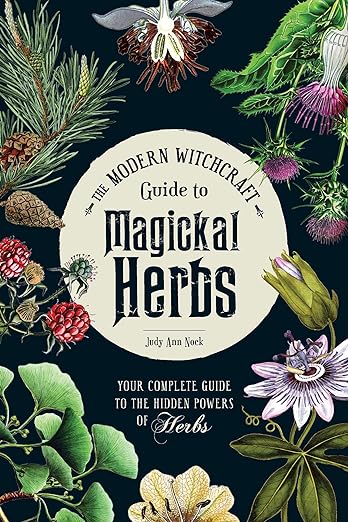 The Modern Witchcraft Guide to Magickal Herbs: Your Complete Guide to the Hidden Powers of Herbs (Hardcover) - Judy Ann Nock