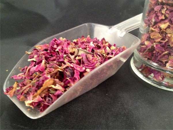 Rose Flower (Multiple Options)
